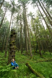 Natascha Zinner - Nature Sensei - Attersee