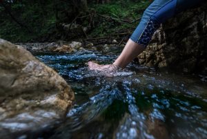 Nature Sensei - Coaching und Workshops - Attersee