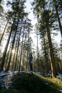 Nature Sensei - Coaching und Workshops - Attersee