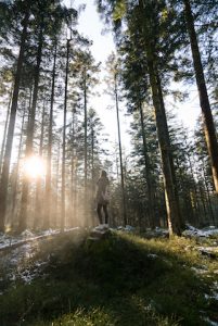 Nature Sensei - Coaching und Workshops - Attersee