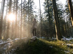 Nature Sensei - Coaching und Workshops - Attersee